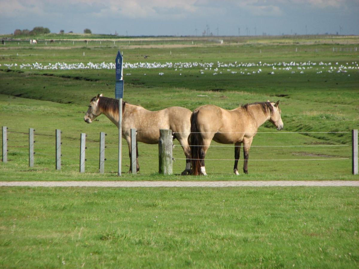 Seevilla Wietjes Whg 5 Baltrum Exterior photo